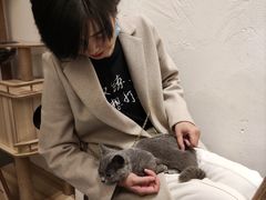 -猫友咖啡店(玉林西路店)