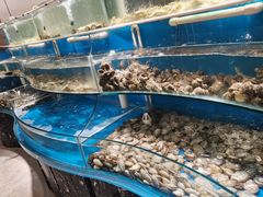 -四海蒸鲜蒸汽海鲜自助(北戴河店)
