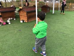 -萌宠亲子动物乐园(槐房万达店)