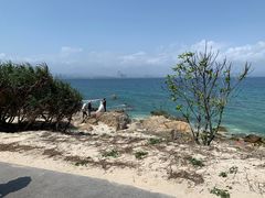 -三亚蜈支洲岛旅游区