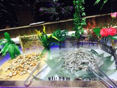 涮海鲜-春风十里海鲜火锅烤肉自助餐厅(华强店)