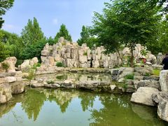 -太阳宫公园