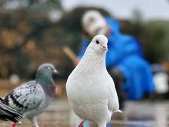 -灵山胜境