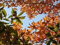 -黄公望隐居地