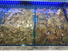 大堂-必点海鲜·鲅鱼水饺(鞍山西道店)