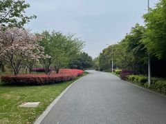 -石湖景区