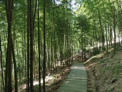 -藏龙百瀑风景区