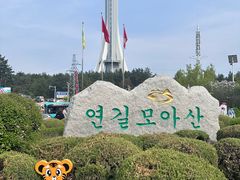 -帽儿山国家森林公园