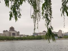 -莲花池公园