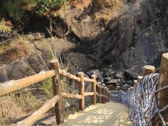 -广州白江湖森林公园