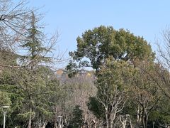 -艺漫酒店(苏州寒山寺狮山路地铁站店)