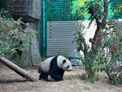 -灵玲国际马戏城