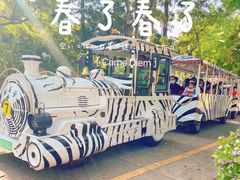 -深圳野生动物园