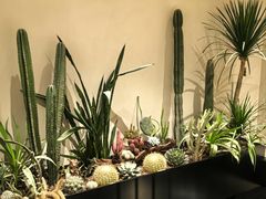 -J Create城市露营咖啡·简餐·宠物(上海动物园店)