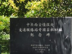 -莲湖公园