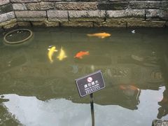 -黎阳老街