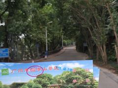 -广州市帽峰山景区