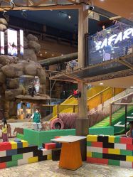 -卡通尼·Safari非洲探索乐园·生日会(金桥国际商业广场店)