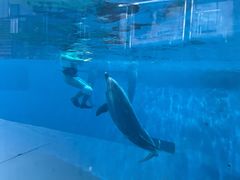 -福州罗源湾海洋世界旅游区