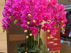 -上海小南国(国发店)