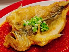 -圆苑(静安寺店)