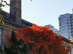 -中央民族大学
