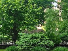 -黑龙江大学