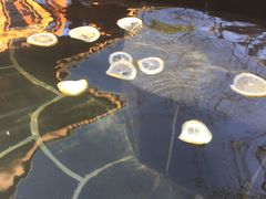 -郑州银基黄帝宫御温泉