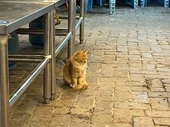 -清真·馬坡二旦烧烤(人生一串拍摄店)