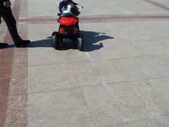 -圣·阿列克谢耶夫教堂