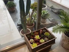-喜茶(珠海华发商都店)
