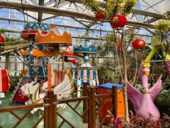 -南宫五洲植物乐园