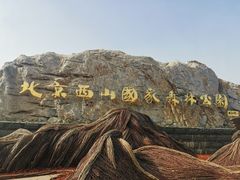 -北京西山国家森林公园