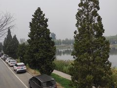 -素心小筑(后沙裕镇店)