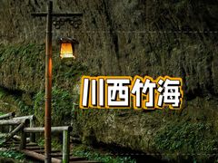 -川西竹海景区