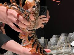 -Oyster Talks 四度蚝法餐厅