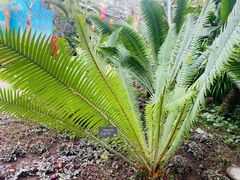 -北京植物园-展览温室