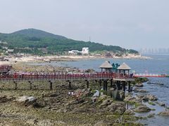 -养马岛旅游度假区