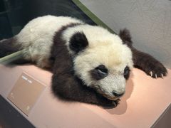 -深圳博物馆历史民俗馆