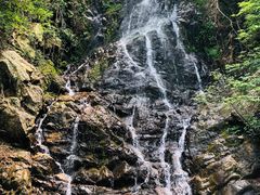 -江西阳明山国家森林公园