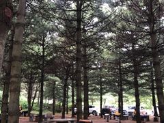 -鲁山国家森林公园