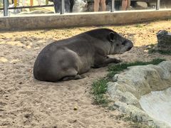 -西霞口神雕山野生动物世界
