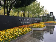 -重庆市江北嘴中央商务区中央公园