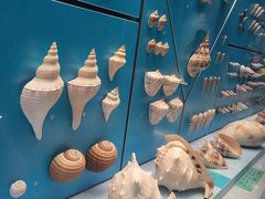 -天津自然博物馆