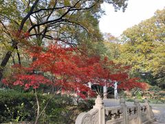 -灵谷景区