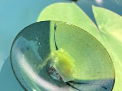 -良设夜宴 LIANGSHE