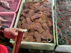 -南沙十九涌渔人码头-南门