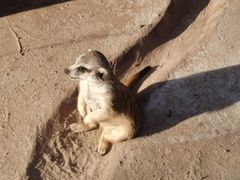 -长鹿旅游休博园