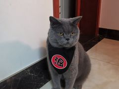 -老黄家(丰原街店)