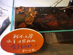 -中国湿地博物馆